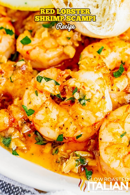 shrimp scampi red lobster.